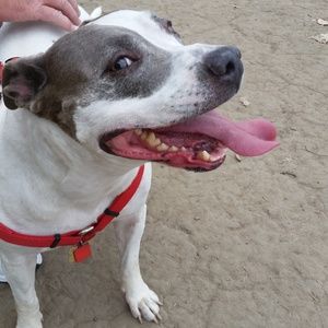 Meet your Posher, Peggy